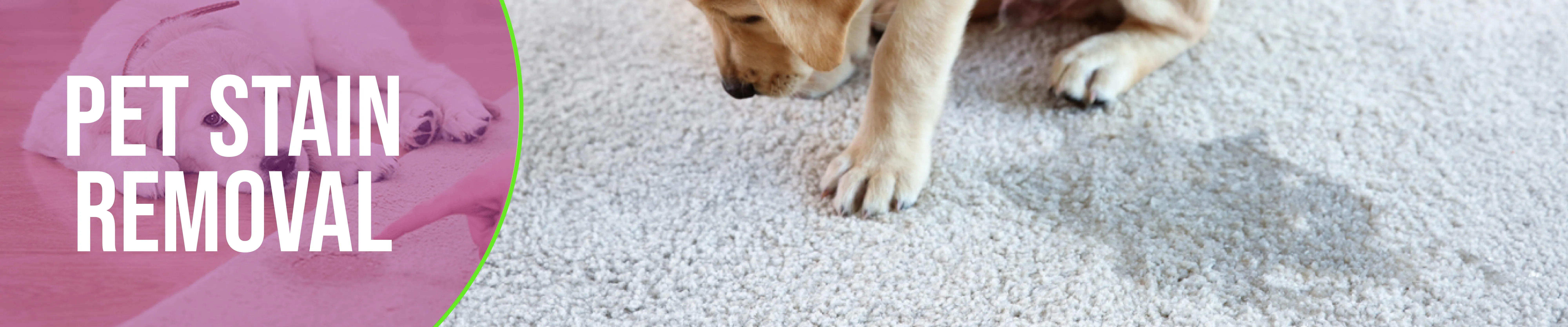 carpet cleaning in the Bronx, carpet cleaning in the Bronx, carpet cleaning the Bronx, carpet cleaners in the Bronx, carpet cleaners in the Bronx, commercial carpet cleaning, commercial carpet cleaning in the Bronx, the Bronx rug cleaners, rug cleaning services in the Bronx, same day carpet cleaning, same day rug cleaning