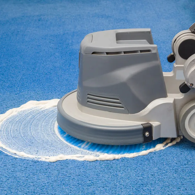 carpet cleaning in the Bronx, carpet cleaning in the Bronx, carpet cleaning the Bronx, carpet cleaners in the Bronx, carpet cleaners in the Bronx, commercial carpet cleaning, commercial carpet cleaning in the Bronx, the Bronx rug cleaners, rug cleaning services in the Bronx, same day carpet cleaning, same day rug cleaning