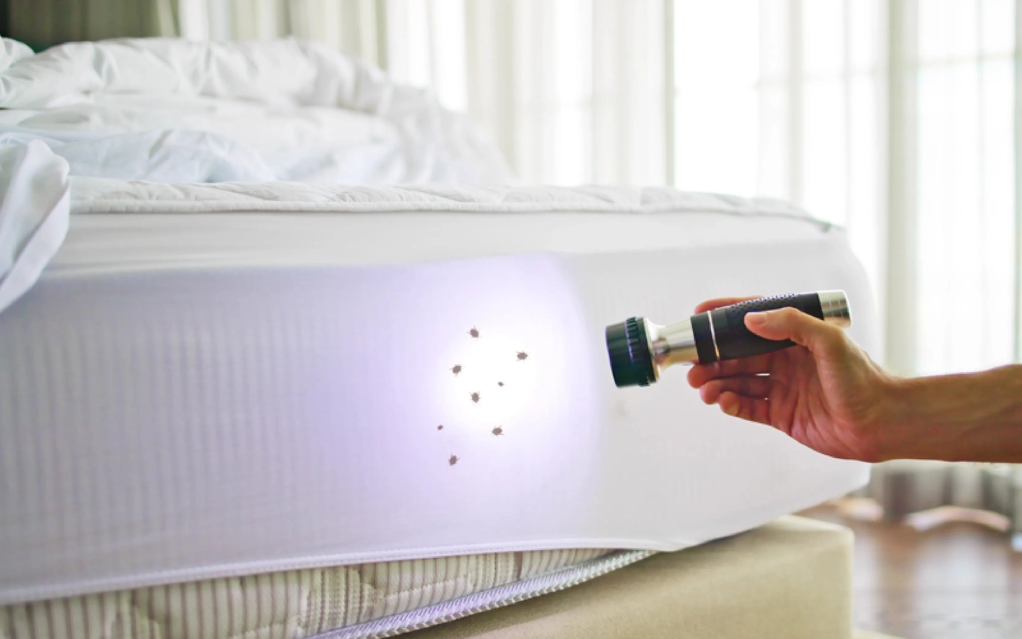 carpet cleaning in the Bronx, carpet cleaning in the Bronx, carpet cleaning the Bronx, carpet cleaners in the Bronx, carpet cleaners in the Bronx, commercial carpet cleaning, commercial carpet cleaning in the Bronx, the Bronx rug cleaners, rug cleaning services in the Bronx, same day carpet cleaning, same day rug cleaning