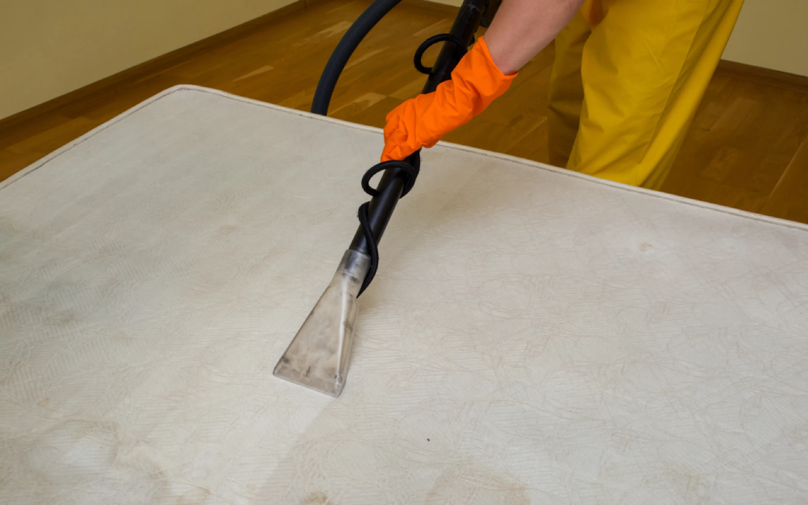 carpet cleaning in the Bronx, carpet cleaning in the Bronx, carpet cleaning the Bronx, carpet cleaners in the Bronx, carpet cleaners in the Bronx, commercial carpet cleaning, commercial carpet cleaning in the Bronx, the Bronx rug cleaners, rug cleaning services in the Bronx, same day carpet cleaning, same day rug cleaning